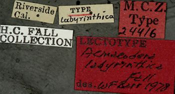 Media type: image;   Entomology 24416 Aspect: labels